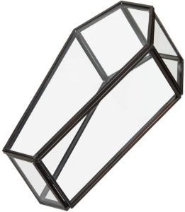 Glass Coffin Display Gothic Jewelry Box